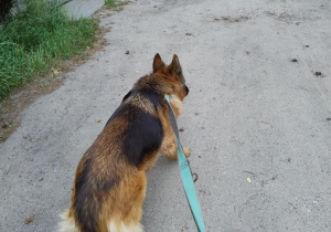 Młodzież z XXI LO w Schronisku MEDOR