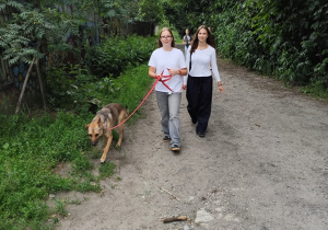 Młodzież z XXI LO w Schronisku MEDOR
