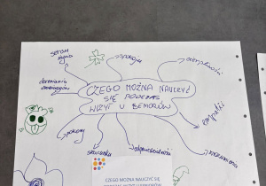 Wolontariat na Wesoło