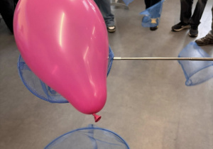 Wolontariat na Wesoło