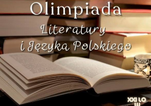 Hanna Balwierz finalistką Olimpiady Literatury i Języka Polskiego!